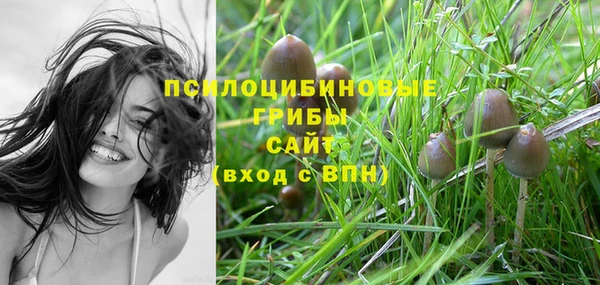 синтетический гашиш Бронницы