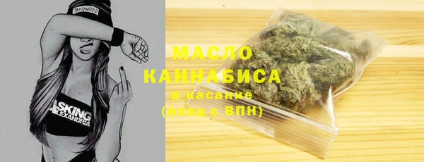 таблы Бородино