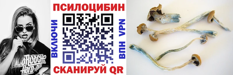 как найти закладки Карабаш Псилоцибиновые грибы ЛСД